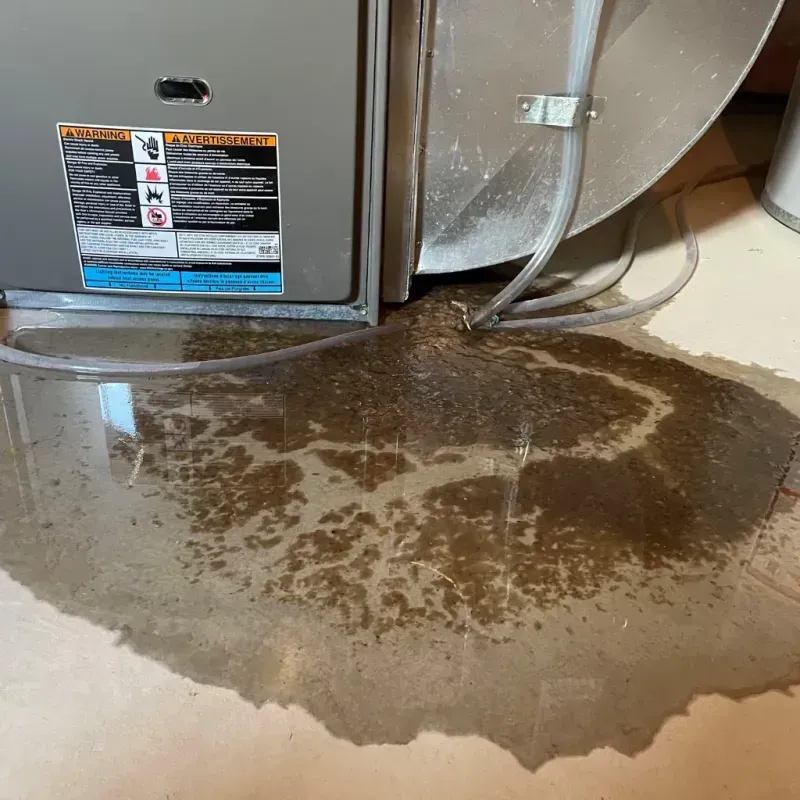 Appliance Leak Cleanup in Atchison County, MO